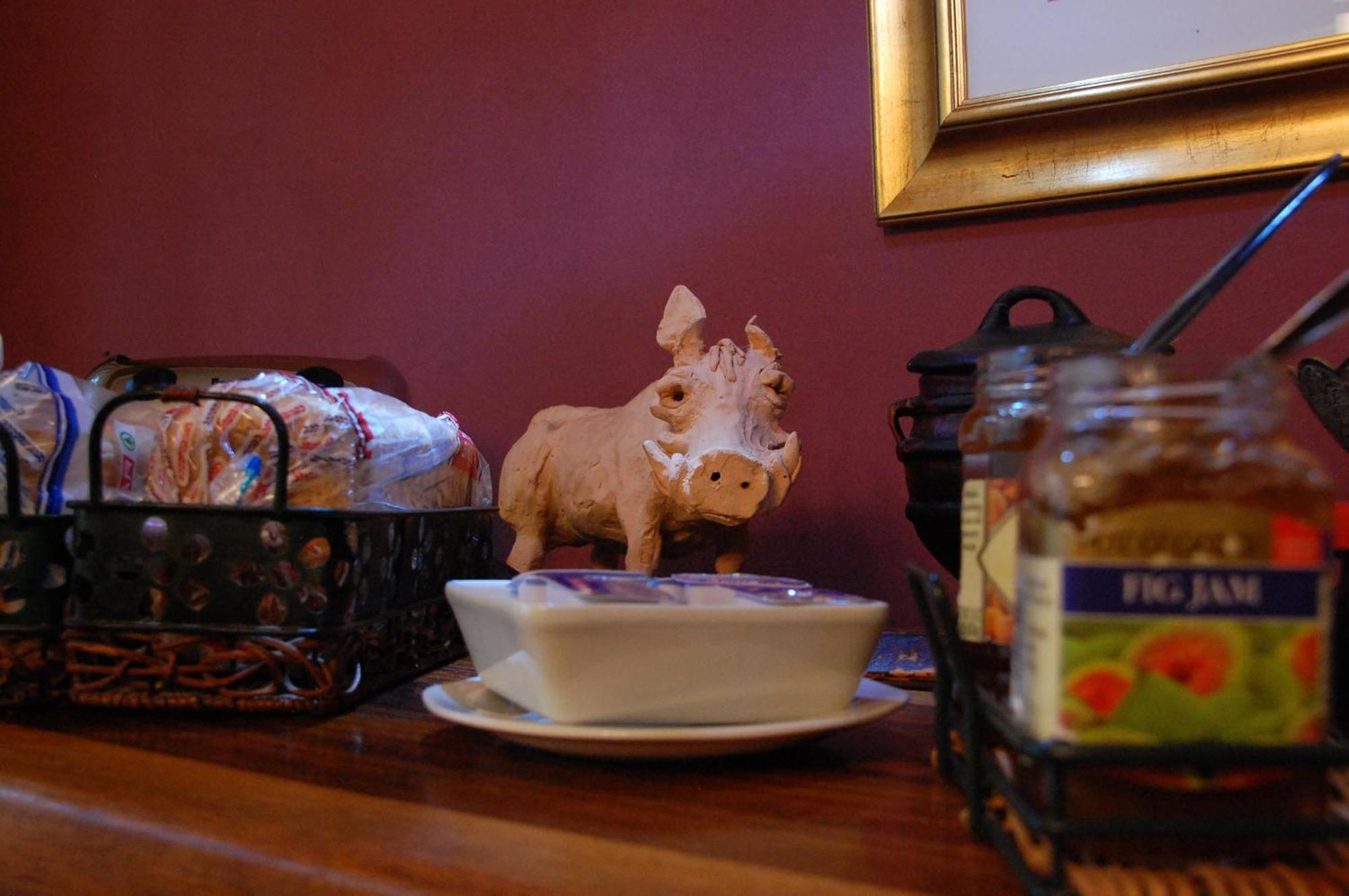 Bush Pillow Guest House Otjiwarongo Extérieur photo